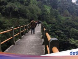 Jembatan Ikonik Di Taman Tepi Sungai