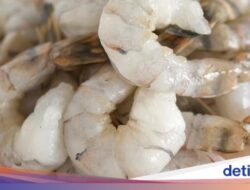 Perdebatan 5 Minuman yang Berpeluang Merusak Lingkungan