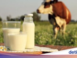 Hindari Konsumsi 5 Minuman Ini Agar Wajah Tak Tampak Bengkak