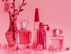 Solusi Praktis Untuk Pengusaha Wewangian Pemula