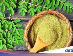 10 Manfaat Daun Kelor Bagi Wanita yang Tak Disangka-sangka