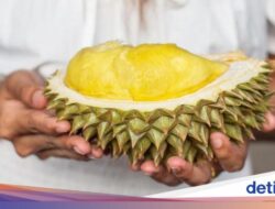 5 Manfaat Konsumsi Durian, Bisa Kendalikan Berat Badan