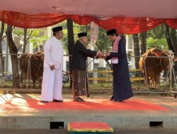 Ma’ruf Amin Serahkan Sapi Kurban Jokowi Hingga Masjid Istiqlal