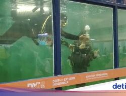 Serba-serbi Scuba Diving Hingga Untuk Kontainer, Berani Coba?