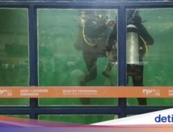 Menjajal Scuba Diving Hingga Kolam Renang Mini Di Kontainer