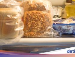 Kenapa Ya Roti Cepat Berjamur Jika Disimpan Di Kulkas? Ini Jawabannya