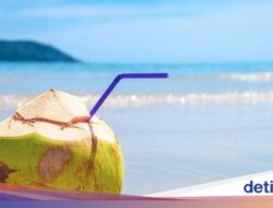 5 Minuman Segar yang Ampuh Atasi Dehidrasi Bersama Instan