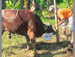 MNC Land dan MNC Peduli Bagikan Daging Kurban, Warga Watesjaya: Alhamdulillah, Terima Kasih