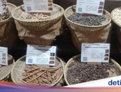 Menelusuri Jejak Kejayaan Rempah Nusantara Hingga Museum Bahari