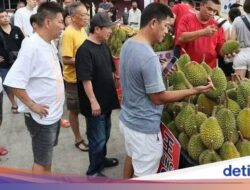 Musim Durian! 200 Kilogram Durian Di Kedai Singapura Ludes Di 1 Jam