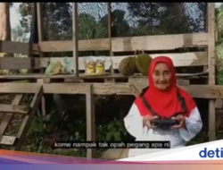 Canggih! Nenek Petani Durian Pakai Drone Sebagai Pantau Kebunnya