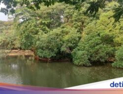 Oase Di Ditengah Jakarta Itu Bernama Hutan Kota Srengseng