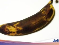 Ternyata Ini Penyebab Pisang Berubah Warna Menjadi Coklat, Sudah Tahu Belum?