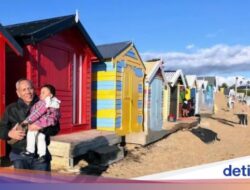 82 Kardus Indah Ke Pantai