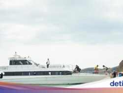 23 Dubes Kesengsem Pulau Padar dan Long Pink Beach