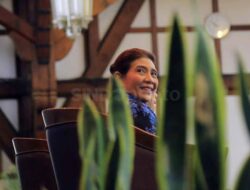 PDIP Buka Kemungkinan Usung Susi Pudjiastuti Ke Pemungutan Suara Kepala Daerah Serentak Jabar
