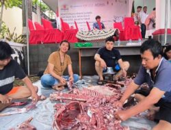 Pemuda Perindo dan Kadin Jaktim Sukses Salurkan 700 Paket Kurban