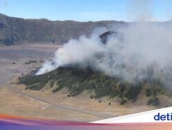 Kebakaran Gunung Batok Hingga Bromo Telah Padam, Penyebab Belum Diketahui