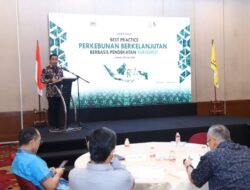 Pendekatan Yuridiksi Mendorong Percepatan Sertifikasi ISPO Petani Sawit Swadaya