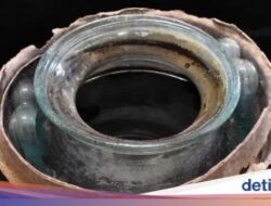 Wine Tertua Berusia 20 Abad Ini Ditemukan Mengandung Abu Manusia