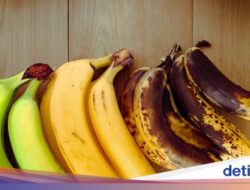 5 Perbedaan Plantain dan Pisang yang Tampilannya Mirip