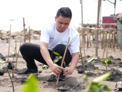 PLN EPI Tanam 1.000 Bibit Mangrove Hingga Pesisir Marunda