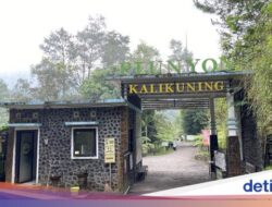 Sejarah Jembatan Plunyon Kalikuning, Jembatan Ikonik Hingga Layar Lebar KKN Desa Penari