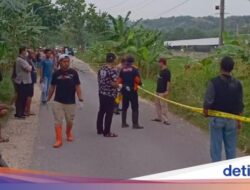 Konten ‘Sukolilo Bos’, Puluhan Kendaraan Bodong, dan Tanah Para Bandit