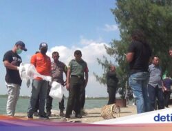 Di Mancing Di Pantai Marina, Malah Temukan Kaki Manusia, Panik Nggak?