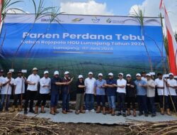 PTPN Group Optimistis Capai Produktivitas Tebu 8 Ton per Hektar