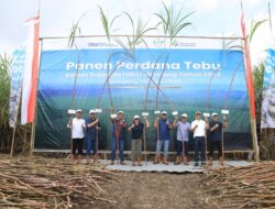 PTPN I Regional 4 Optimistis Produktivitas Tebu Capai 100 Ton per Hektar