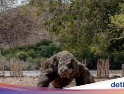 ‘Penutupan Taman Nasional Itu Biasa Dilakukan’