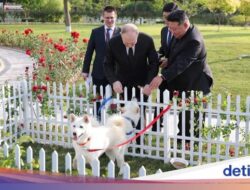Berkunjung Hingga Korut, Putin Dihadiahi Kim Jong Un Sepasang Anjing Pungsan