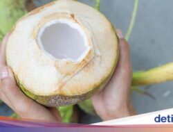 10 Manfaat Air Kelapa Sebagai Keadaan, Stabilkan Tekanan Darah-Kolesterol