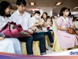 Pasutri Hingga Thailand Banyak yang Ogah Punya Anak, Lebih Pilih Urus Kucing