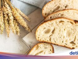 Sourdough Lebih Sehat Di Roti Biasa Lantaran 3 Hal Ini