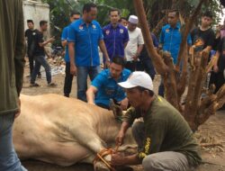 Ryano Panjaitan Ajak KNPI Semangat Berkurban dan Kesampingkan Ego