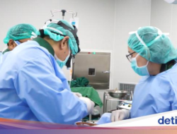 Praktisi Medis RS Royal Progress Untuk Tips agar Aman Pada Operasi Bedah Plastik