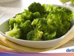 11 Sayur Tinggi Protein Untuk Pola Makan Sehat dan Bergizi