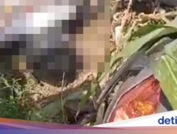 Bule Italia Tewas Kecelakaan Hingga Banyuwangi, Motornya Patah Karena Itu Dua