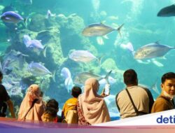 10 Wisata Indoor Di Jakarta dan Sekitarnya, Nggak Usah Takut Kehujanan!
