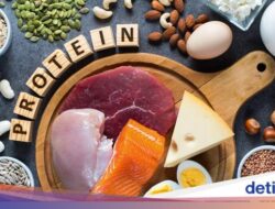 Protein Hewani Bersumber Bersama Apa Saja? Ini Jawabannya