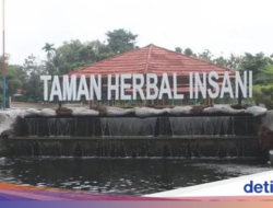 Tiket, Lokasi, Harga Sewa, dan Daftar Wisata Lengkap