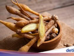 6 Manfaat Temu Kunci, Bahan Alami yang Punya Segudang Khasiat Sebagai Kesejaganan