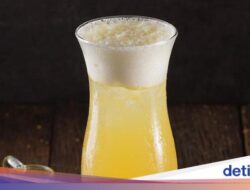 Minuman Terkini Didalam Temu Mangga yang Berkhasiat Sehat