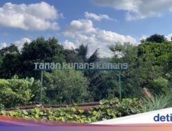 Pembeda Desa Wisata Taro: Konservasi Kunang-Kunang
