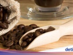 Jangan Asal Simpan, Begini Cara Simpan Minuman Kafein yang Benar Agar Awet Segarnya