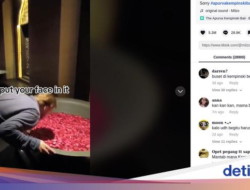 Viral Turis Bertingkah Norak Di Hotel Mewah Bali, Dirujak Netizen