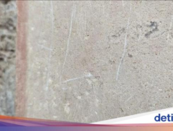 Beraninya Turis Coret Reruntuhan Pompeii, Ditangkap dan Didenda