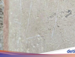 Kelewatan! Turis Ukir Nama ‘ALI’ Ke Tembok Pompeii